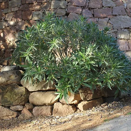 A Merendella דירה Serriera (Corsica)