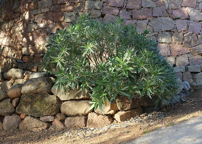 A Merendella Apartmán Serriera (Corsica)